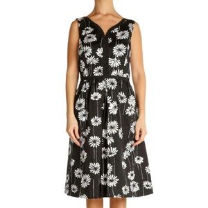 Talbots Daisies Dress Black With White Daisies Size 6